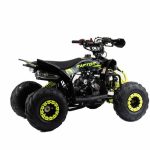 110 RAPTOR (1)