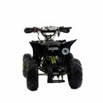110 RAPTOR (2)
