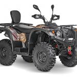 Striker 500 EFI