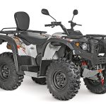 Striker 700 EFI (1)