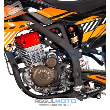 Мотоцикл Regulmoto ZR PR 300 4 valves 5 gear — изображение 2