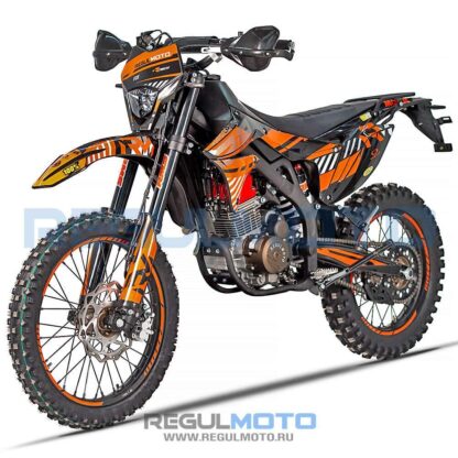 Мотоцикл Regulmoto ZR PR 300 4 valves 5 gear — изображение 4