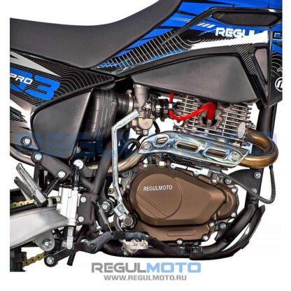 Мотоцикл Regulmoto Sport-003 PR PRO 300 (4 valves) 5 передач — изображение 6