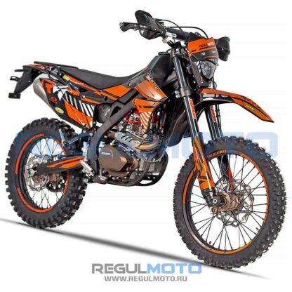 Мотоцикл Regulmoto ZR PR 300 4 valves 5 gear — изображение 7