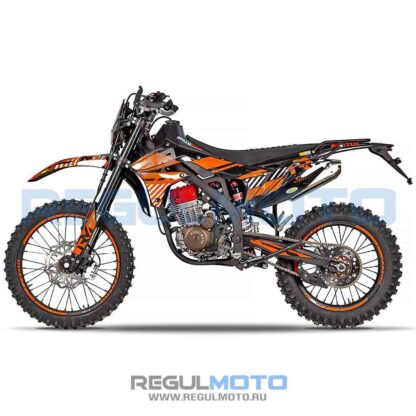 Мотоцикл Regulmoto ZR PR 300 4 valves 5 gear — изображение 8