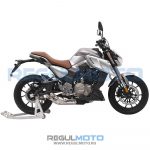 Мотоцикл Regulmoto ALIEN MONSTER 300 1