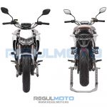 Мотоцикл Regulmoto ALIEN MONSTER 300 3