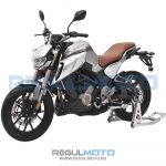 Мотоцикл Regulmoto ALIEN MONSTER 300 4