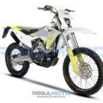 Мотоцикл Regulmoto NIBBI N300-S (NB300) 7