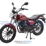Мотоцикл Regulmoto SK200-8 1