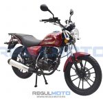 Мотоцикл Regulmoto SK200-8 4