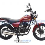 Мотоцикл Regulmoto SK200-8 5