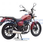 Мотоцикл Regulmoto SK200-8 6