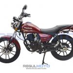 Мотоцикл Regulmoto SK200-8 9