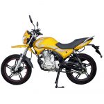 Мотоцикл Regulmoto SK200-9 8