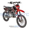 Питбайк Regulmoto SEVEN MEDALIST PRO 19/16 — изображение 7