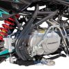 Питбайк Regulmoto SEVEN MEDALIST PRO 17/14 — изображение 6
