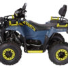 Квадроцикл Avantis Ray 200 Premium (4-х тактный) Артикул: УТ — изображение 4