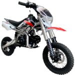 bse_evo110_evolution_2