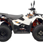 qjkw8g41x85f6v6w6saj838t5uqqosdj