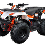 rv37iikp142kelxs1cx4xjyjtzfscx1y