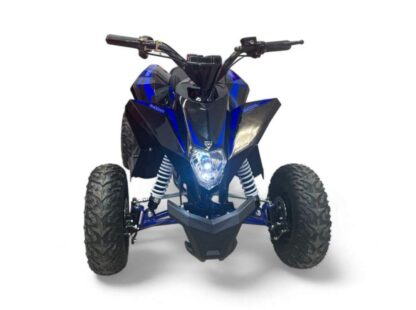 Электрический квадроцикл MOTAX GEKKON E1300 — изображение 3