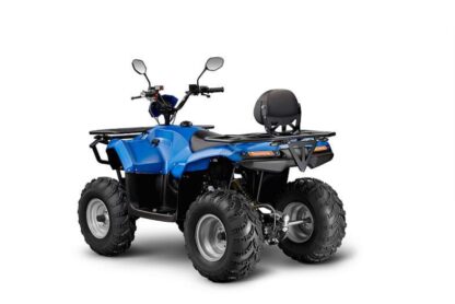 КВАДРОЦИКЛ IRBIS ATV200 LUX — изображение 3