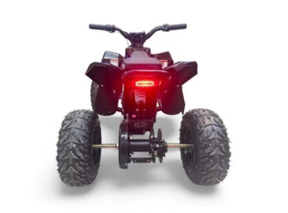 Электрический квадроцикл MOTAX GEKKON E1300 — изображение 2