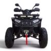 Квадроцикл MOTAX GRIZLIK W200 LUX — изображение 2