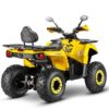 Квадроцикл GLADIATOR F200 lux — изображение 5