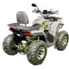КВАДРОЦИКЛ DAZZLE ARMOUR 200 MAX — изображение 4