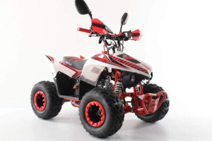Квадроцикл MOTAX Mikro 110 NEW — изображение 4