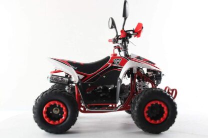 Квадроцикл MOTAX Mikro 110 NEW — изображение 5