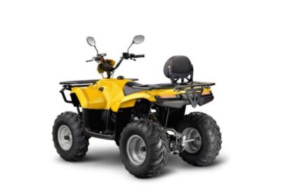КВАДРОЦИКЛ IRBIS ATV200 — изображение 3
